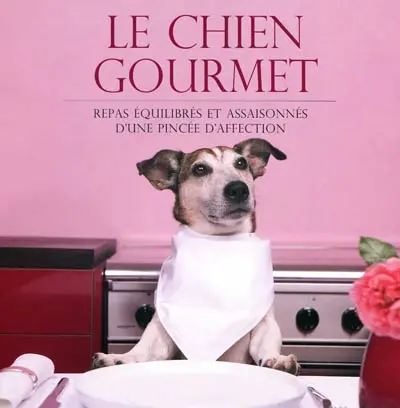 Le chien gourmet : repas équilibrés et assaisonnés d'une pincée d'affection