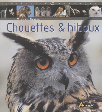 Chouettes et hiboux