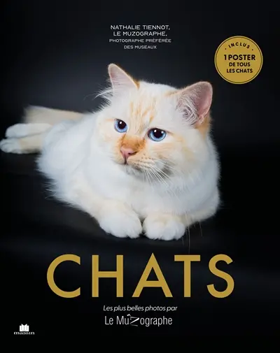 Chats : les plus belles photos par Le Muzographe Chats : les plus belles photos par Le Muzographe