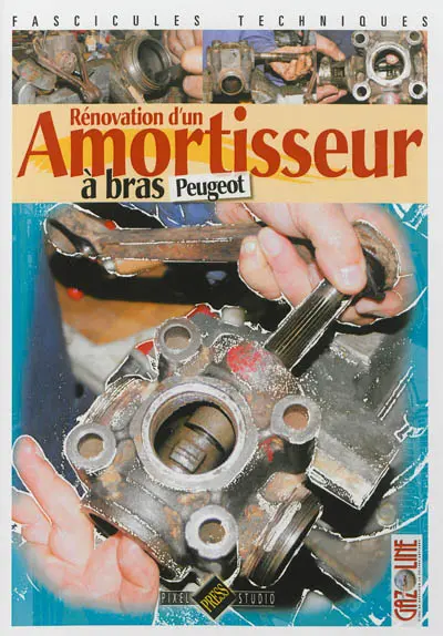 Rénovation d'un amortisseur à bras Peugeot