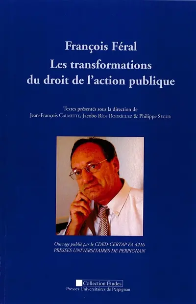 Les transformations du droit de l'action publique