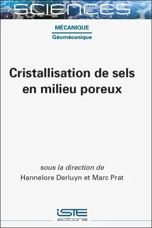 Cristallisation de sels en milieux poreux