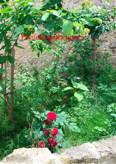 Passions pathétiques : Poèmes et chansons