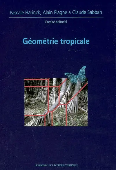 Géométrie tropicale