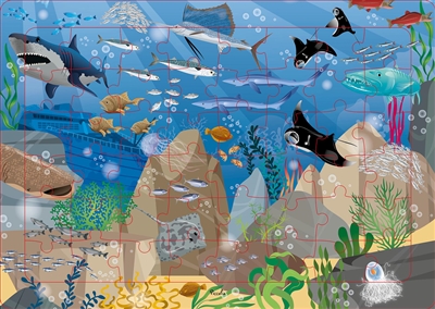 En haute mer : puzzle 48 pièces