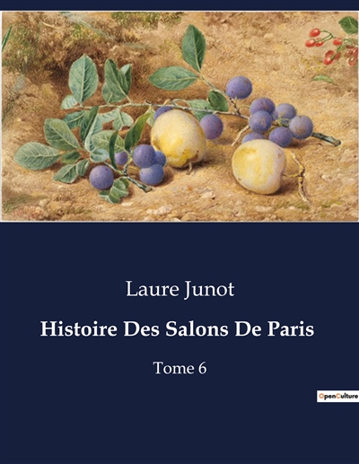Histoire Des Salons De Paris : Tome 6