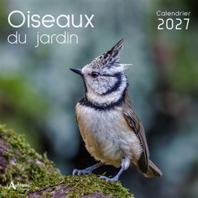 Oiseaux du jardin :...