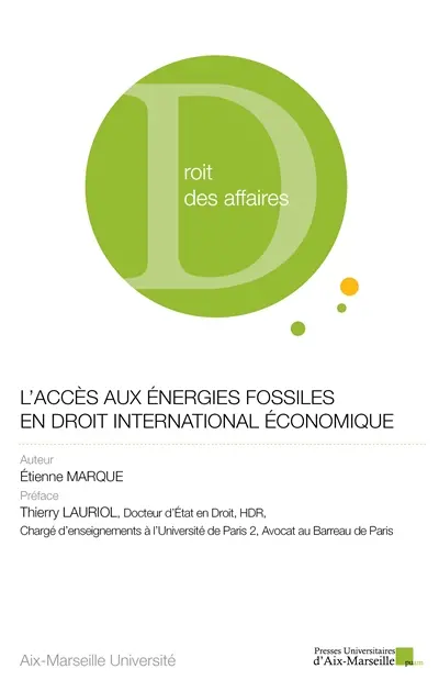 L'accès aux énergies fossiles en droit international économique