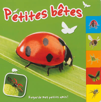 Petites bêtes
