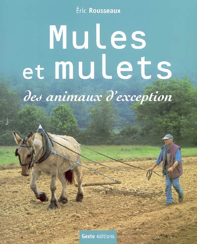 Mules et mulets : des animaux d'exception