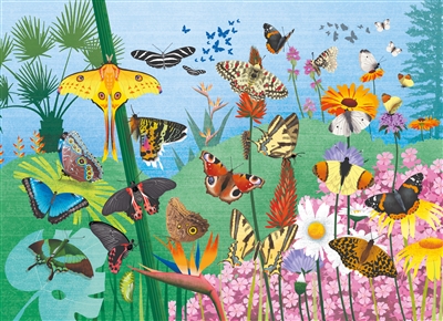 Les papillons : puzzle 48 pièces