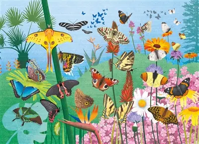 Les papillons : puzzle 48 pièces