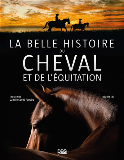 La belle histoire du cheval...