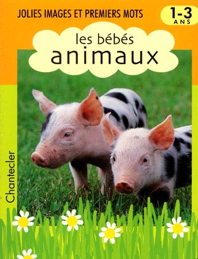 Les bébés animaux