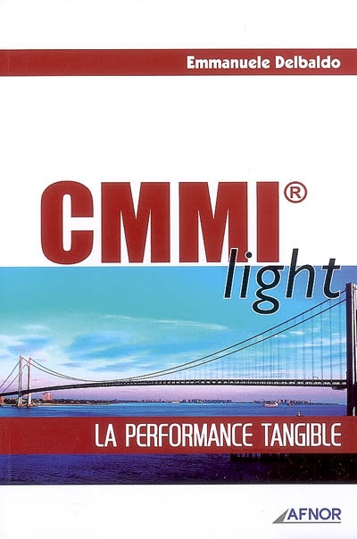 cmmi light : la performance tangible