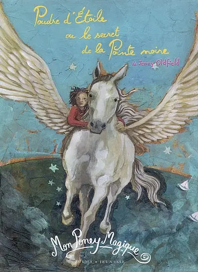 Poudre d'étoile ou Le secret de la Pointe noire