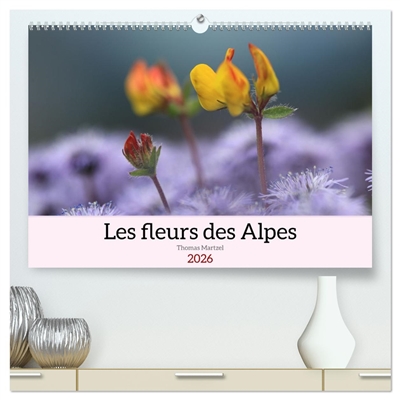 Les fleurs des Alpes...