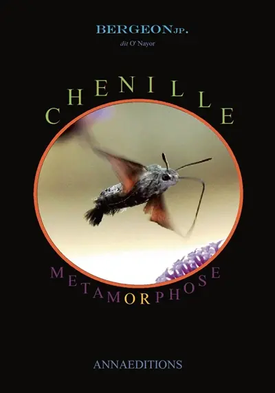 Chenille métamorphose