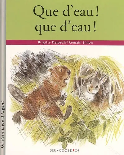 Que d'eau ! Que d'eau !