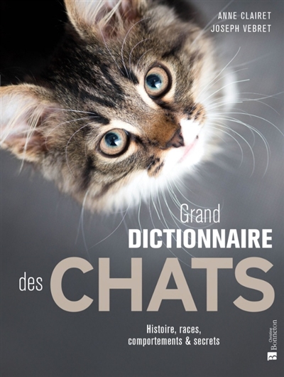 Grand dictionnaire des...