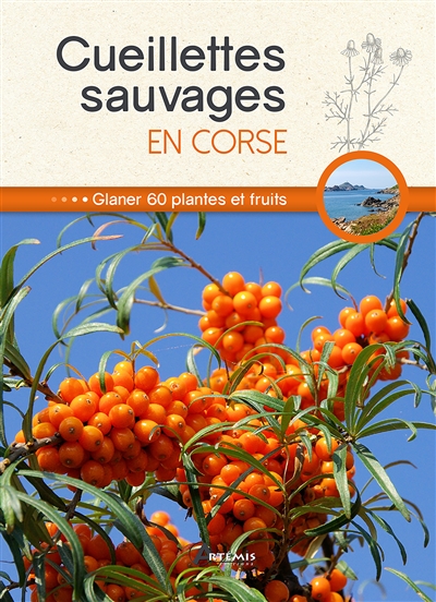 Cueillettes sauvages en Corse : glaner 60 plantes et fruits