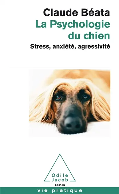 La psychologie du chien : stress, anxiété, agressivité...