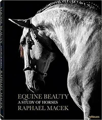 Beauté équestre : étude sur les chevaux