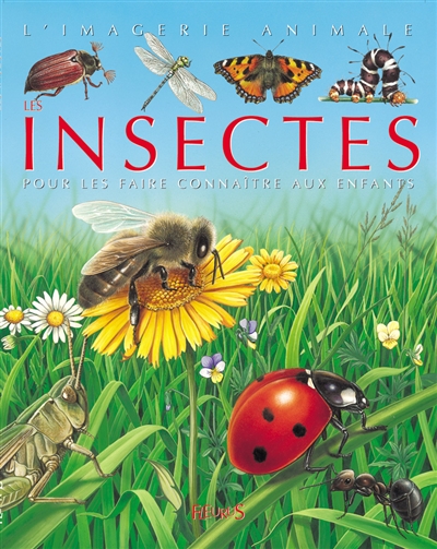 Les insectes : pour les...