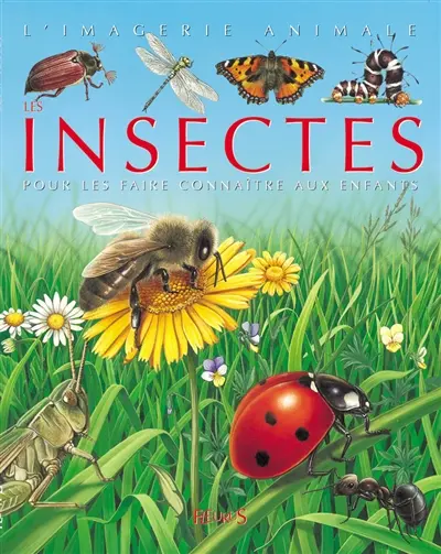 Les insectes : pour les faire connaître aux enfants