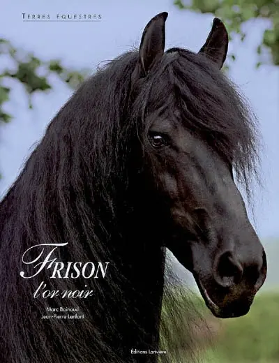 Frison : l'or noir