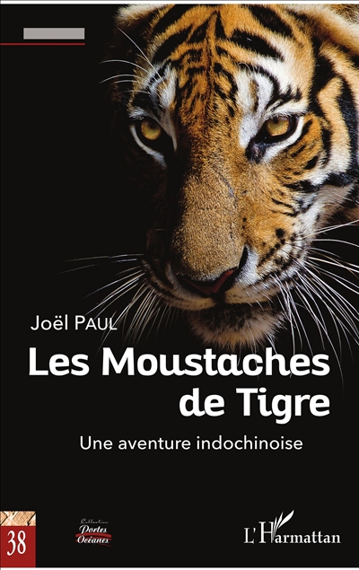 Les moustaches de tigre : une aventure indochinoise