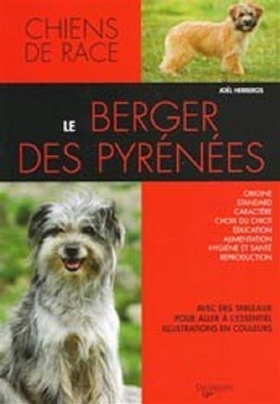Le berger des Pyrénées