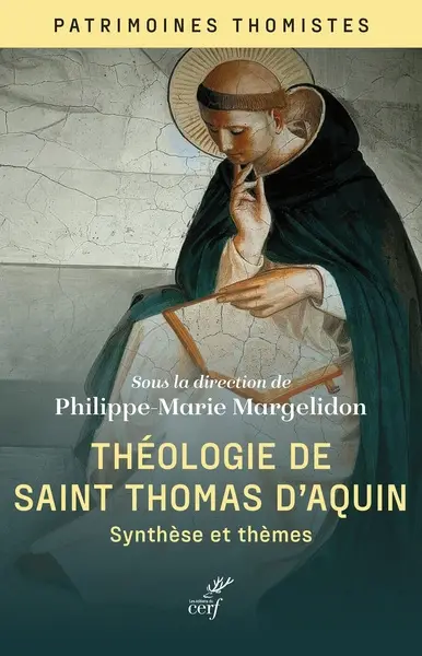 Théologie de saint Thomas d'Aquin : synthèses et thèmes
