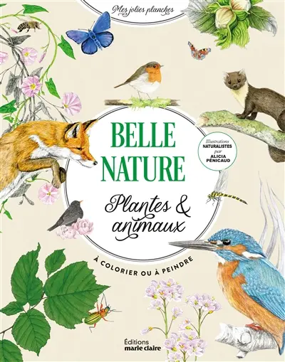 Belle nature : plantes & animaux à colorier ou à peindre