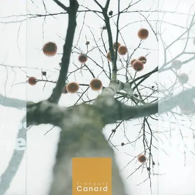 Ces quelques arbres : si on ne les coupe pas, les arbres meurent debout