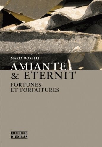 Amiante et Eternit : fortunes et forfaitures