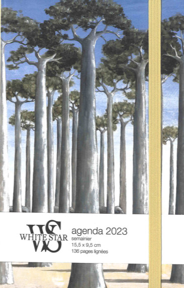 Agenda 2023 : baobab