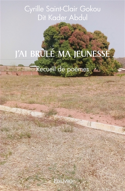 J'ai brûlé ma jeunesse :...