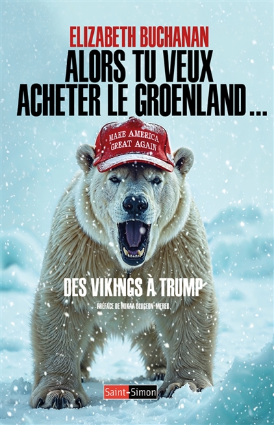 Alors vous voulez acheter le Groenland ! : des Vikings à Trump