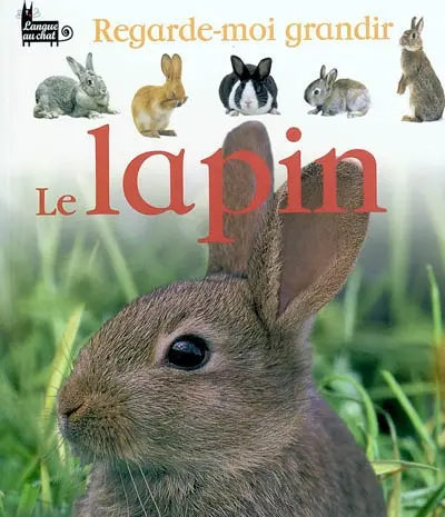 Le lapin