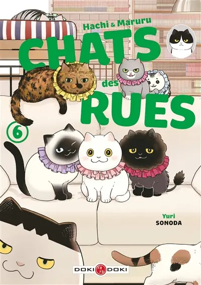 Hachi & Maruru : chats des rues. Vol. 6