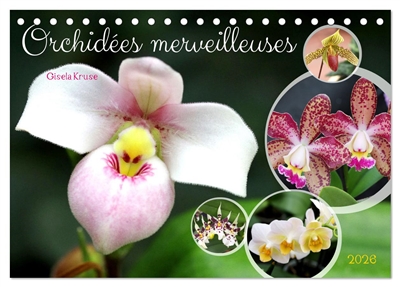 Orchidées merveilleuses...