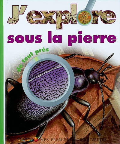 J'explore sous la pierre de tout près