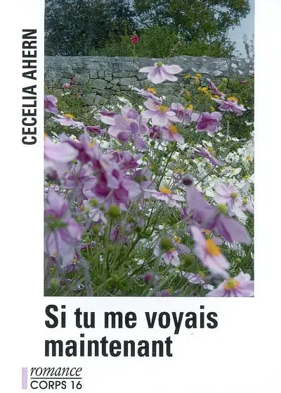 Si tu me voyais maintenant