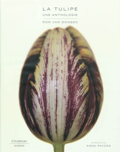 La tulipe : une anthologie