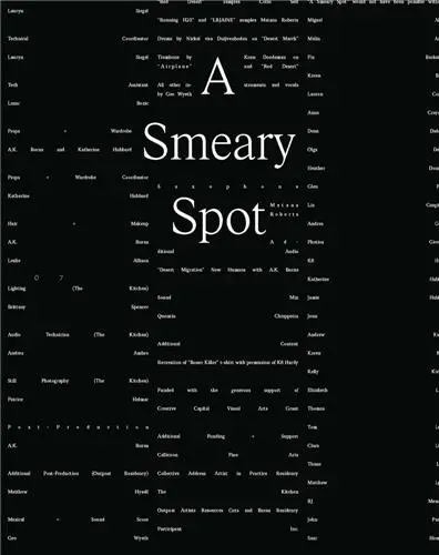 A.K. Burns : Negative Space