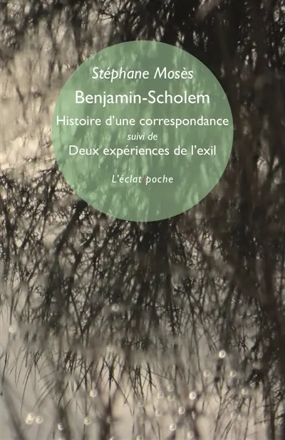 Benjamin-Scholem : histoire d'une correspondance. Deux expériences de l'exil