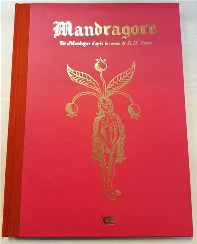 Mandragore