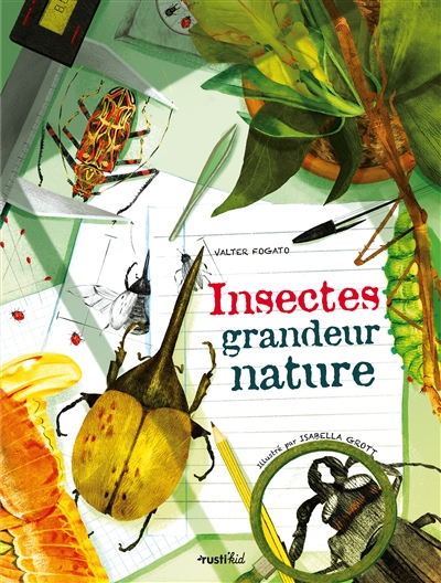 Insectes : grandeur nature