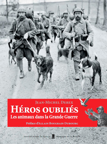 Héros oubliés : les animaux dans la Grande Guerre